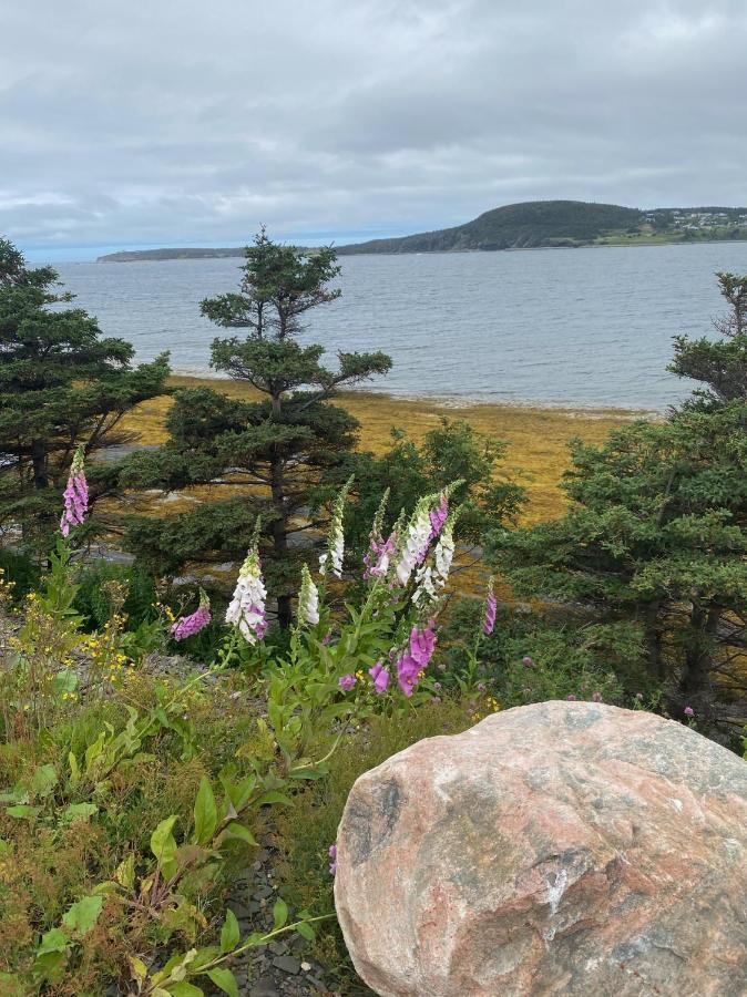 Villa Rocky Harbour Oceanfront Exterior foto